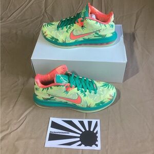 Nike LeBron 9 Low x LeBronold Palmer Men's Size 10.5